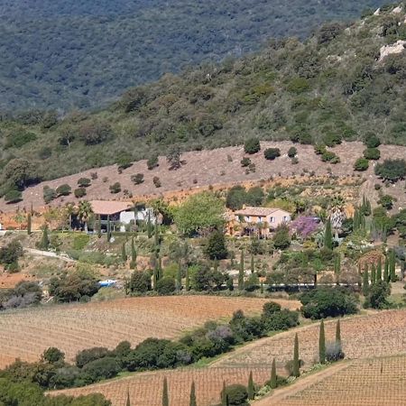 Bel Appart Style Vintage Vue Mer La Londe-les-Maures Exterior foto