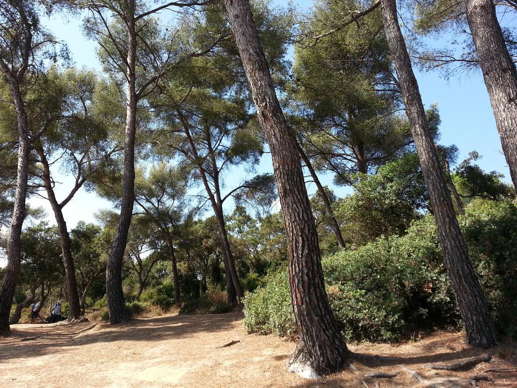 Bel Appart Style Vintage Vue Mer La Londe-les-Maures Zimmer foto